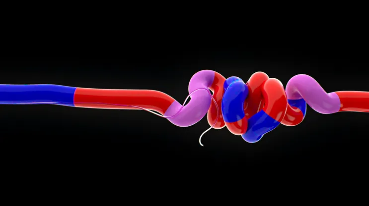 Video Cover Image